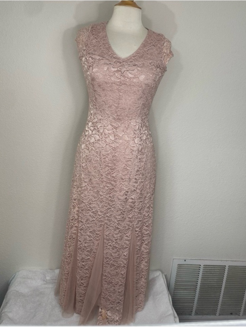 Cardalite Petite Womens Blush Lace Glitter Cap Sleeve Special Occasion Dress SP